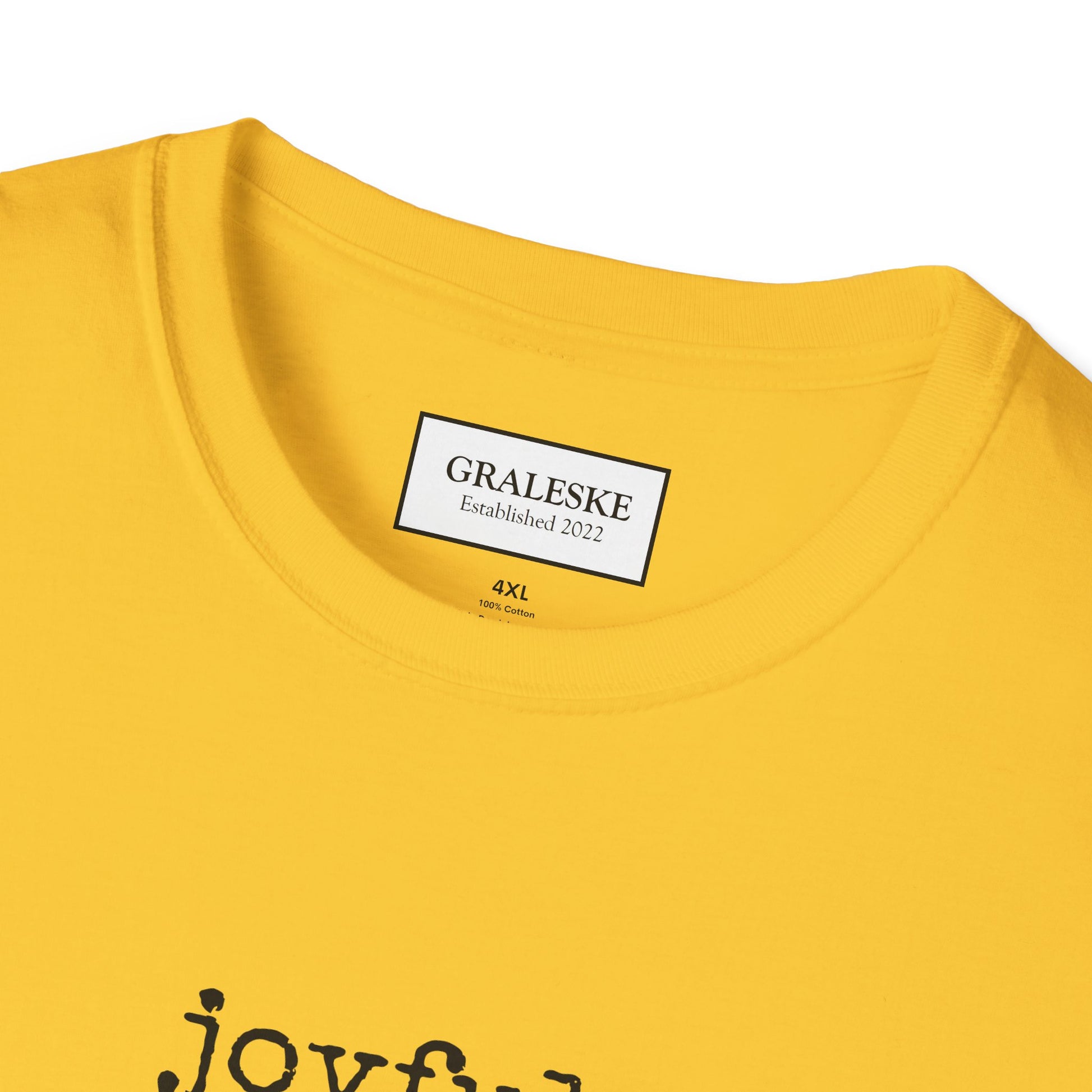 joyful T-Shirt - Graleske