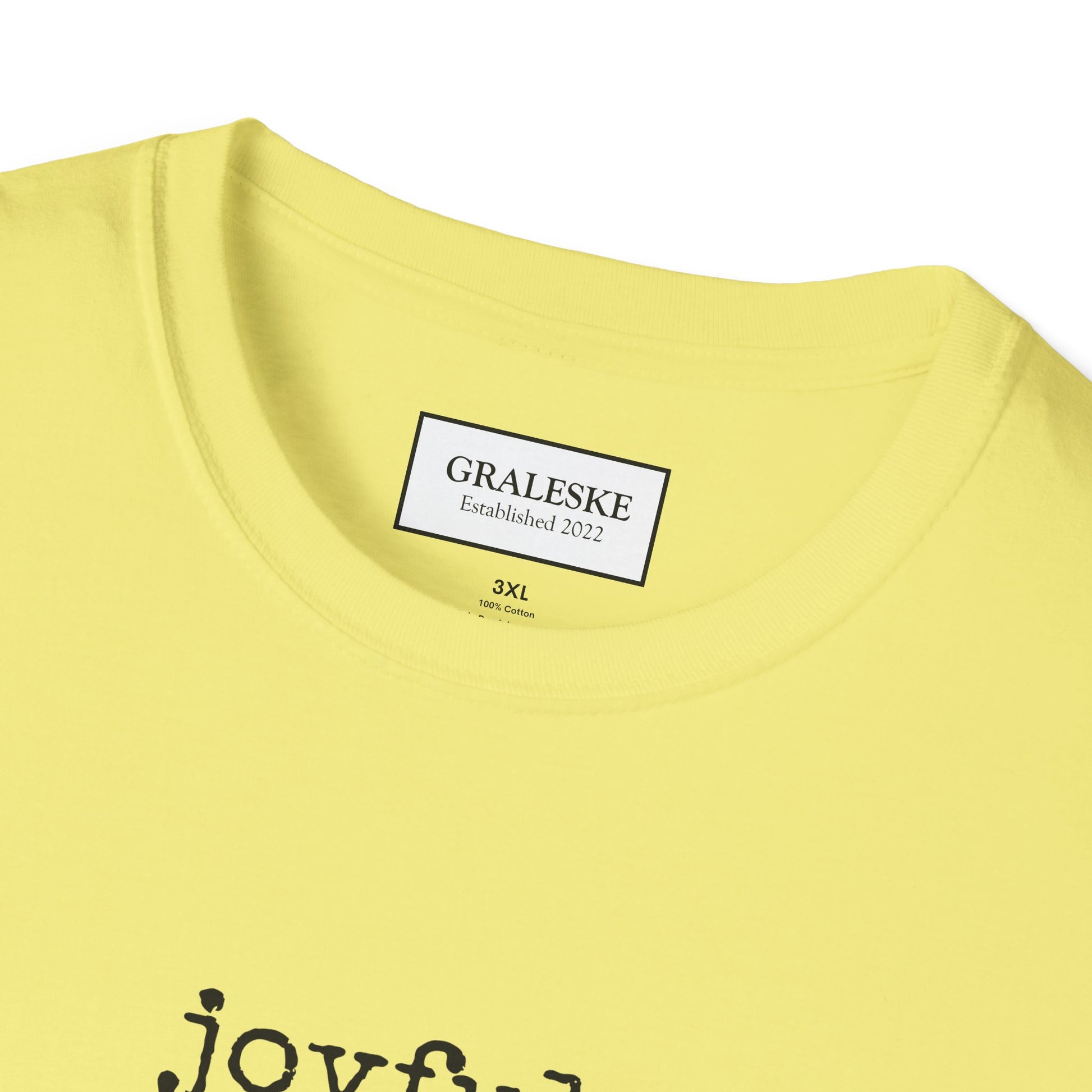 joyful T-Shirt - Graleske