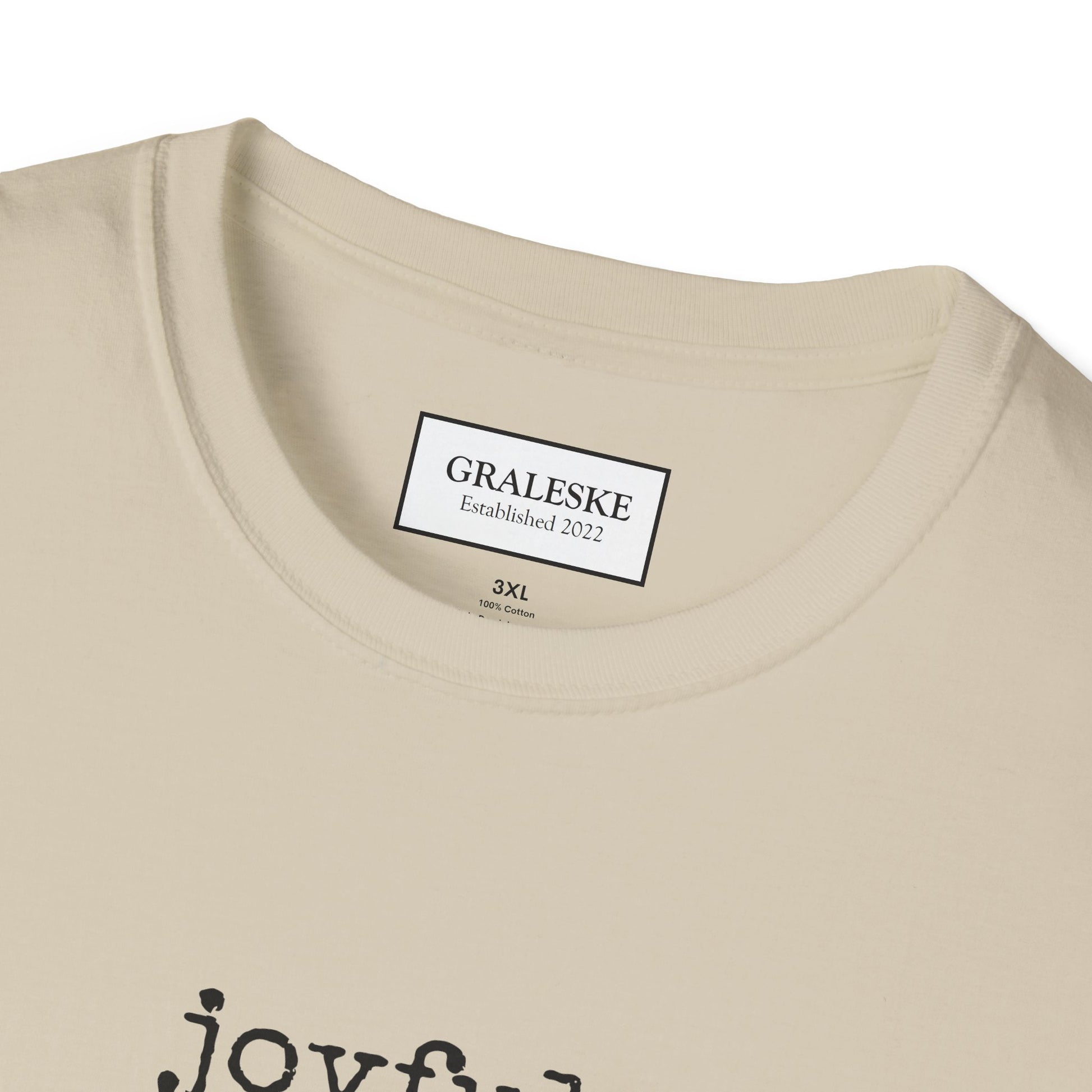 joyful T-Shirt - Graleske