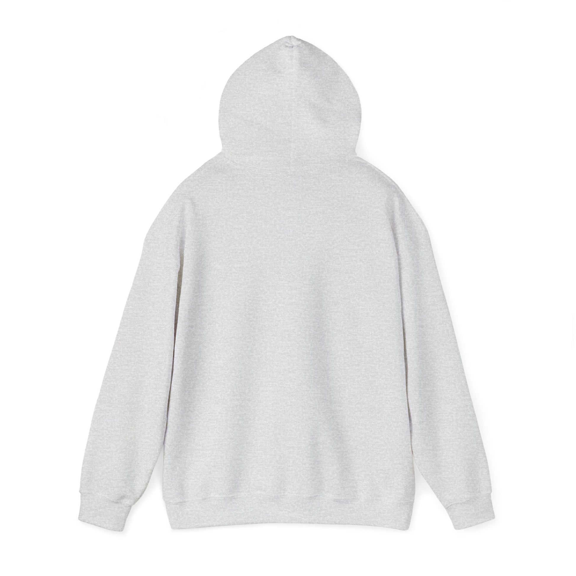 Unisex Heavy Blend™ Hooded Sweatshirt - Site6 original 2024 - Graleske